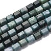 Natural Moss Agate Beads Strands G-R015-A01-2