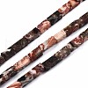 Natural Leopard Skin Jasper  Beads Strands G-S299-146-1