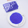 Transparent Glass Bugle Beads SEED-N005-001-C03-2