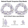 Beebeecraft 2 Strands Natural Purple Turquoise Beads Strands G-BBC0001-45-2