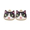 Alloy Enamel Pendants ENAM-V002-04G-05-1