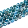 Natural Apatite Beads Strands G-L552J-01A-1