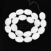 Natural Trochid Shell/Trochus Shell Beads SSHEL-N036-051-3