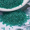 MIYUKI Delica Beads SEED-X0054-DB0918-1