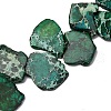 Natural Imperial Jasper Beads Strands G-E444-12A-01-1