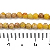 Dyed Natural Regalite/Imperial Jasper/Sea Sediment Jasper Beads Strands G-B124-C04-04-3