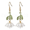 Acrylic Dangle Earrings EJEW-JE06145-1