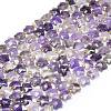 Natural Amethyst Beads Strands G-P573-C01-01-2