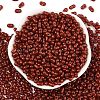 Baking Paint Glass Seed Beads SEED-L011-09A-24-2