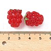 Handmade Lampwork Enamel Beads LAMP-U004-07-5