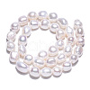Natural Cultured Freshwater Pearl Beads Strands PEAR-N014-08F-4