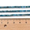 Natural Apatite Beads Strands G-G155-A01-01-5