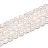 Natural Cultured Freshwater Pearl Beads Strands PEAR-N012-03R-01-5