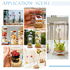   4Pcs High Borosilicate Glass Dome Cover DJEW-PH0001-37-6