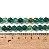Natural Green Onyx Agate(Dyed & Heated) Beads Strands G-G203-02C-5