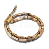Natural Picture Jasper Beads Strands G-F631-E07-2