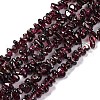 Natural Garnet Beads Strands F065-01A-1