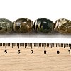 Tibetan Style dZi Beads Strands G-S389-A04-5