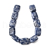 Natural Blue Spot Jasper Beads Strands G-S386-A05-3