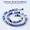 Olycraft Natural Sodalite Round Bead Strands G-OC0001-48-3