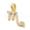 925 Sterling Sliver Micro Pave Clear Cubic Zirconia Pendants STER-Z012-06G-02-1