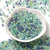 Transparent Glass Round Seed Beads X1-SEED-B001-05A-09-2