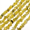 Natural Olive Jade Chip Bead Strands X-G-M205-30-3
