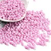 Baking Paint Glass Seed Beads X1-SEED-A032-02S-1