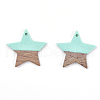 Resin & Wood Pendants X-RESI-T023-23C-2
