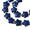 Dyed Natural Lapis Lazuli Dyed Beads Strands G-T138-190-3