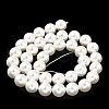 Shell Pearl Beads Strands BSHE-K015-10mm-04-4