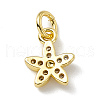 Brass Micro Pave Cubic Zirconia Charms ZIRC-F132-99G-2