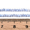 Dyed Natural Trochid Shell/Trochus Shell Beads Strands SSHEL-T017-13M-5