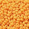 Baking Paint Glass Seed Beads X1-SEED-B001-02A-17-3