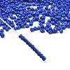 Baking Paint Glass Seed Beads SEED-S001-01-2