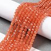 Baking Painted Imitation Jade Glass Bead Strands DGLA-A034-J2MM-A12-4