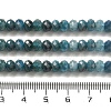 Natural Apatite Beads Strands G-B074-A02-02-5