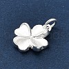925 Sterling Silver Charms FIND-Z069-04S-C-3