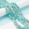 Natural Exotic Amazonite Chips Beads Strands F070-1-4