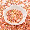 Baking Paint Glass Seed Beads X-SEED-S042-05B-45-2