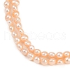 Natural Cultured Freshwater Pearl Beads Strands PEAR-P064-19G-12C-4
