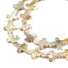 Drawbench Style Natural Freshwater Shell Beads Strands BSHE-G036-01-3