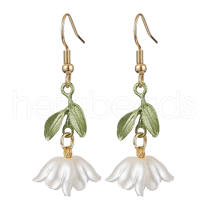 Acrylic Dangle Earrings EJEW-JE06145-1