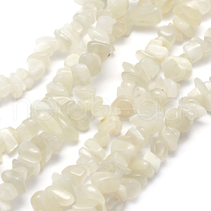 Natural White Moonstone Beads Strands X-G-P332-01-1