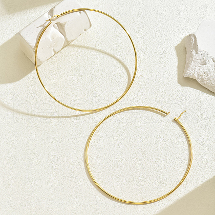 Stylish Stainless Steel Exaggerated Ring Hoop Earrings YK5940-1