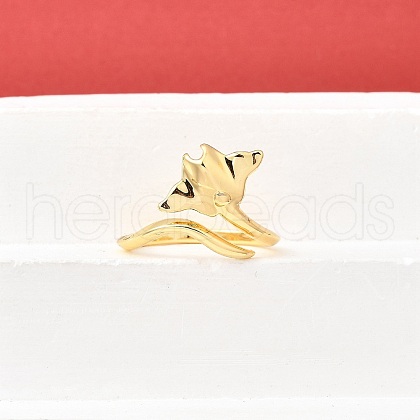 Brass Cuff Rings for Women RJEW-F184-08A-G-1