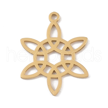 304 Stainless Steel Pendants STAS-B062-03G-1