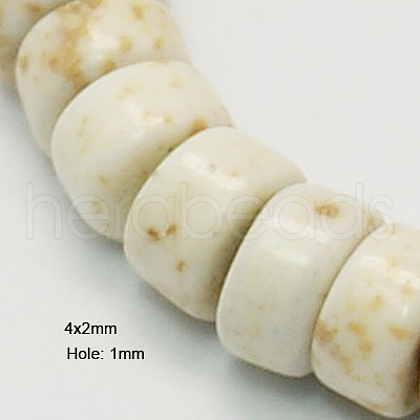 Natural Magnesite Beads Strands TURQ-P027-50-1