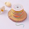 50M Segment Dyed Nylon Chinese Knotting Cord NWIR-YW0001-05A-5