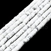 Natural Howlite Beads Strands G-K245-C03-02-1